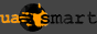 SmartWeb Internet agency
